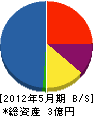 沖縄土木 貸借対照表 2012年5月期