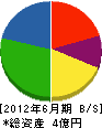 大谷興産 貸借対照表 2012年6月期