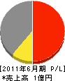 藤田工業 損益計算書 2011年6月期