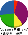 九州システム産業 貸借対照表 2012年5月期
