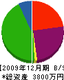 土博 貸借対照表 2009年12月期