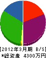 平井工業 貸借対照表 2012年3月期
