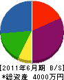三浦工業 貸借対照表 2011年6月期