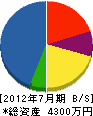 扇田産業 貸借対照表 2012年7月期