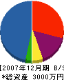 栄創建 貸借対照表 2007年12月期