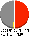 中吉野開発 損益計算書 2009年12月期