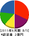 村川電気工業 貸借対照表 2011年6月期