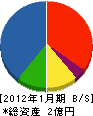 櫻井工業 貸借対照表 2012年1月期