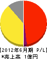 東京サービス 損益計算書 2012年6月期