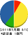 宇佐電設 貸借対照表 2011年5月期