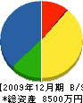 和田工務店 貸借対照表 2009年12月期