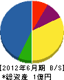 渡辺組 貸借対照表 2012年6月期