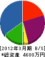 小阪建設 貸借対照表 2012年3月期