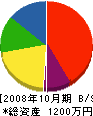 日本ジェット 貸借対照表 2008年10月期