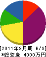 柾川塗工店 貸借対照表 2011年8月期
