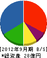 中島建設 貸借対照表 2012年9月期