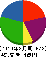 沖縄科学ＡＶセンター 貸借対照表 2010年8月期