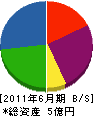 京南通信工業 貸借対照表 2011年6月期