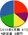 坂本土建 貸借対照表 2010年6月期