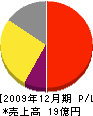 日本水処理工業 損益計算書 2009年12月期