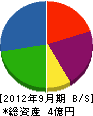 篠塚建材 貸借対照表 2012年9月期
