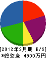 中川化学工業 貸借対照表 2012年3月期