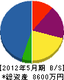 田中装建 貸借対照表 2012年5月期