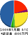 宍道工業 貸借対照表 2009年5月期