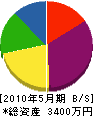 斉藤工業所 貸借対照表 2010年5月期