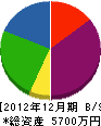丸電阿部電気 貸借対照表 2012年12月期