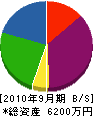宮川電気 貸借対照表 2010年9月期