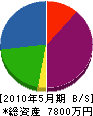 岩崎建設 貸借対照表 2010年5月期