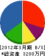 井元電気商会 貸借対照表 2012年3月期