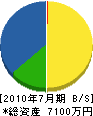 渡辺建設 貸借対照表 2010年7月期