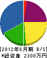 川勝組 貸借対照表 2012年6月期