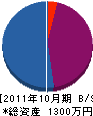 柳沼塗料 貸借対照表 2011年10月期