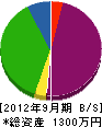 武田工業 貸借対照表 2012年9月期
