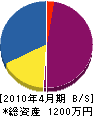 三瀬電機商会 貸借対照表 2010年4月期