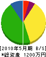 瀬川塗装 貸借対照表 2010年5月期
