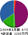 永興コミュニケーションズ 貸借対照表 2009年4月期