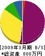 竹田工業 貸借対照表 2009年3月期