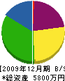 昭建 貸借対照表 2009年12月期