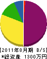 角＊組 貸借対照表 2011年8月期