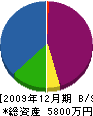 坂田工務店 貸借対照表 2009年12月期