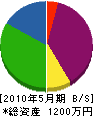 名阪エンジニアリング 貸借対照表 2010年5月期