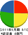 松本産業 貸借対照表 2011年6月期
