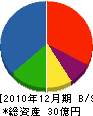 野田清商店 貸借対照表 2010年12月期