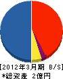 山口エレテック 貸借対照表 2012年3月期
