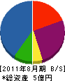 日本グリーン企画 貸借対照表 2011年8月期