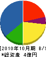 篠川電設工業 貸借対照表 2010年10月期